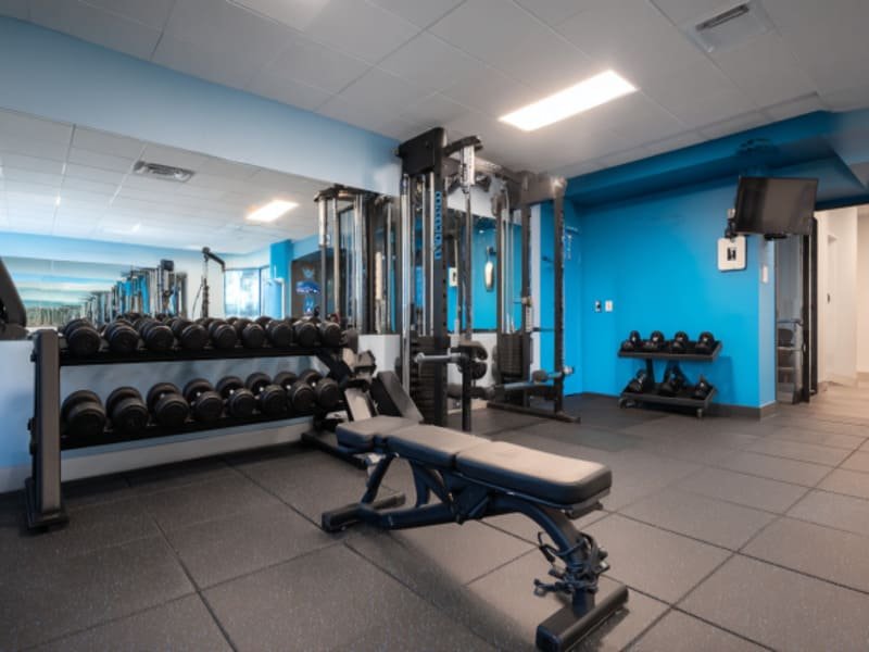 HYROX Flooring Shock Absorption Energy Return